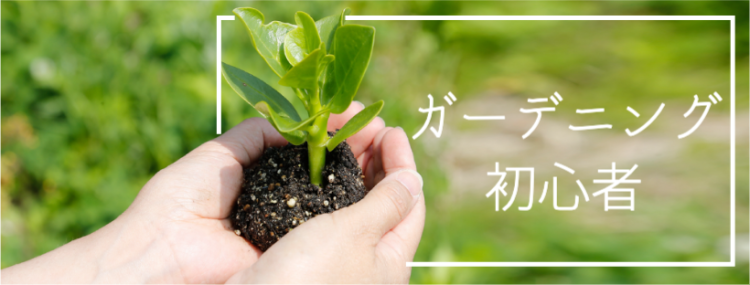 スイーツハンター